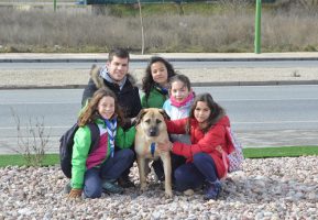 La Manada en la Protectora de Animales